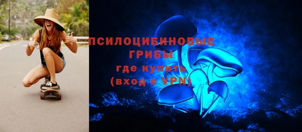 дживик Коряжма