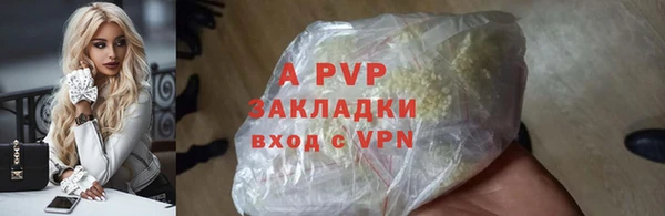 трава Корсаков