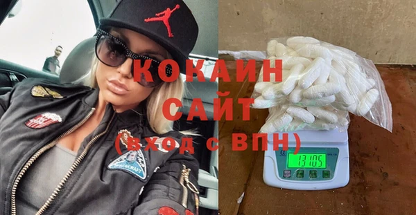 трава Корсаков