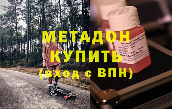 трава Корсаков