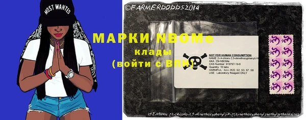 трава Корсаков