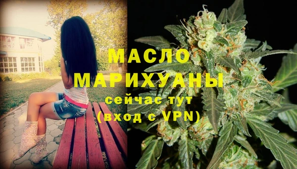 трава Корсаков