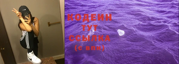 трава Корсаков